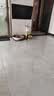 喵仙儿猫爬架一体猫窝多层跳台花瓣猫抓柱耐磨猫抓板小型不掉屑猫玩具 实拍图