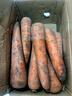 京喜加新鲜胡萝卜当季农家自种萝卜脆爽多汁水果蔬菜 新鲜胡萝卜 9斤 带箱 100g起/支 实拍图