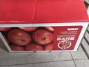 京鲜生 烟台红富士苹果 净重10斤  单果160g以上 水果礼盒 实拍图
