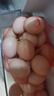京鲜生 无抗保洁鲜鸡蛋30枚/盒 健康轻食 礼盒送礼 1.5kg/盒 源头直发 实拍图