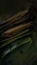 立顿红茶绿茶茉莉花茶包缤纷装 办公出游袋泡茶独立装三口味36包72g 实拍图