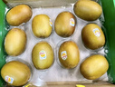 佳沛（zespri）新西兰  阳光金奇异果10粒礼盒巨大果单果约144-175g 水果 猕猴桃 实拍图