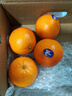 新奇士（Sunkist）澳洲黑标晚脐橙 4斤礼盒装 单果220g+ 新鲜水果礼盒 实拍图