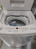 Haier海尔波轮洗衣机全自动8/10公斤大神童大容量租房家用神器升级除菌除螨洗柔护内筒以旧换新补贴统帅 6公斤小神童+速洗+风暴洗高达1.22洗净比 实拍图