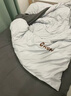 南极人（Nanjiren） 床上四件套+被子被芯+枕芯磨毛床单被套单双人宿舍被罩家用套件  梦-时尚灰 1.8米床四件套【被套1.8*2.2米】 实拍图