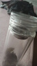 【双层加厚不易碎】高档双层水晶玻璃杯过滤泡茶钢化玻璃防摔保温 【加厚升级双层隔热】550AA 实拍图