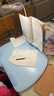 猫太子可调12°坐姿矫正器儿童坐姿卫士写字姿势纠正器小学生写作业防近视防低头桌面正姿 台灯款 实拍图
