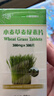 禾蓓小麦草麦绿素片300片小麦苗新鲜榨汁浓缩提取精华压片糖果青汁片 1瓶装300片 实拍图