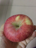 京鲜生 陕西洛川苹果红富士 净重10斤 单果180g-220g 生鲜水果 实拍图