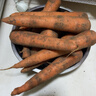 京喜加新鲜现挖现发胡萝卜农家自种蔬菜水果沙地红萝卜 带泥胡萝卜5斤 含箱 实拍图