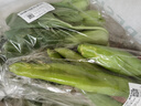 【24小时菜】大芹菜约400g 实拍图