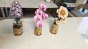 若物木艺繁花紫丁香积木花女生diy儿童玩具男孩生日礼物女孩 实拍图