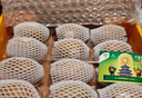 佳沛（zespri）新西兰 阳光金奇异果12粒礼盒特大果单果约122-146g 猕猴桃 水果 实拍图