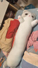 捉趣（ZHUOQU）猫咪抱枕公仔毛绒玩具长条布娃娃玩偶睡觉夹腿抱创意元旦新年礼物 实拍图