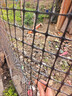 界图 塑料网格防护养殖养鸡围栏网玉米网围栏安全网防护网格护栏围网 1.5米高+3厘米孔+扎带 2.3mm厚(50米/卷)【简单防护】 实拍图
