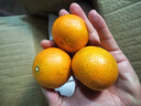 京鲜生 广西砂糖橘 净重4.5斤 单果45-55mm  生鲜礼盒 源头直发包邮 实拍图