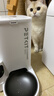 小佩宠物AI智能自动喂食器可视版 定时定量 猫狗宠物喂食 视频监控 实拍图