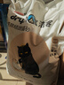 洁客(Drymax)专享款低尘除臭膨润土猫砂省量高效结团猫砂8kg 实拍图