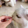 一只喜欢猫咪冻干营养小仙棒宠物零食犬猫通用 羊奶口味45g*1包 实拍图