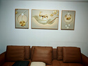 诗六艺家饰客厅装饰画北欧现代简约沙发背景墙挂画三联画大气轻奢壁画晶瓷画 羽鹿生辉（铝合金外框） 晶瓷画左右50*70+中间100*70亮面 实拍图