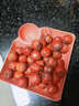 京愿  山东新鲜山楂果红果冰糖葫芦原料大金星山里红山楂新鲜孕妇水果 【实惠试吃】净重1斤大果 30-40个/斤 实拍图