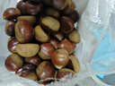 京喜加丹东新鲜板栗糖炒栗子原料糯甜板栗可生吃新鲜蔬菜生鲜 丹东鲜板栗 3斤 畅销装 实拍图