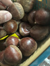 【东东农场专供】25年丹东新板栗生板栗炒菜专用新鲜蔬菜生鲜 丹东鲜板栗 0.5斤 实拍图