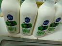 三元 极致有机鲜牛奶巴氏杀菌 定期购900ml/瓶 3.8g蛋白质 实拍图