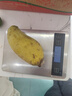 新鲜四季芒果当季特产水果  轻微花皮半熟果发货 台芒9斤单果100克以上 实拍图