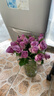 玫瑰花云南鲜花批发真花家用鲜花插瓶水养节日礼物玫瑰鲜花 紫玫瑰18+2枝防损耗 实拍图