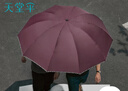 天堂 加大雨伞三折 晴雨两用商务伞10骨大雨伞男女 暗红紫 实拍图