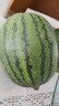 全美2K小糖丸西瓜 2K小糖丸西瓜2-3斤 实拍图