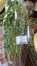 带根香菜100g 实拍图