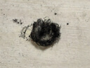 京东京造100%天然新疆棉花被 纯棉被芯双人被子 冬季厚被9斤2.2x2.4m 实拍图