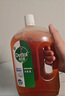 滴露（Dettol）洗衣消毒液衣物消毒水750mL除螨 家居地板杀菌 非84松木香 实拍图
