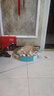 疯狂的主人圆形猫抓板窝耐磨不掉屑猫窝一体猫咪抓盆超大号抓不烂猫爪板耐抓 实拍图