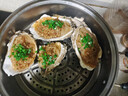 乳山牡蛎 鲜活乳山生蚝4XL 净重5斤 11-12只 生鲜海鲜 源头直发 烧烤食材 实拍图