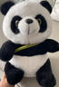 熊猫熊小熊猫玩偶儿童毛绒玩具娃娃花花大公仔生日礼物陪睡布娃娃抱抱熊 实拍图
