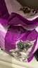 伟嘉成猫猫粮3.6kg吞拿鱼及三文鱼口味布偶加菲英短猫咪成猫全价粮 实拍图