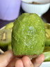 肴池晚采徐香猕猴桃周至新鲜绿心奇异果应季水果彩箱珍珠棉礼盒 20枚特大果【果肉满满|品质】105-125克 实拍图