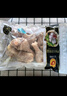 CP正大食品白羽鸡琵琶腿2斤 早餐冷冻小鸡腿 烤卤凉拌蒸煮煎炸鸡腿 实拍图