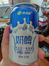 花园新疆奶啤天润西域春花园佳丽瑞缘疆鲜生组合装箱乳酸菌牛奶饮料品 【西域春】原味奶啤12罐 实拍图