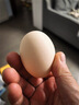 东方甄选谷物鲜鸡蛋/DHA/大码蛋可生食新鲜营养早餐溏心蛋生鲜谷物喂养 15枚 0.75kg 谷物鲜鸡蛋 实拍图