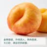 枝头熟巨无霸蜜汁黄金油蟠桃4-5粒900g 实拍图