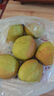 京鲜生 新疆库尔勒香梨6粒 二级果 单果80-100g 生鲜水果 实拍图