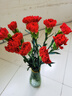 【康乃馨】鲜花云南基地直发女神节礼物花束多色花期长七夕送人3 红色康乃馨10枝 实拍图