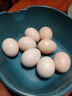 京喜加 鲜鸡蛋 土鸡蛋  五谷喂养 山林自养鸡蛋溏心蛋早餐京东包邮40g 8枚40g左右 实拍图
