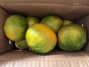 兀果语2025年云南密桔酸桔子当季薄皮橘子孕妇新鲜水果爆汁无核青 1斤 实拍图