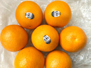 美国进口新奇士3107黑标脐橙Sunkist进口橙子甜橙单果170-210克 10个大果 实拍图