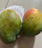 京鲜生 攀枝花凯特芒果 净重8.5斤 带箱9斤 单果500g+ 生鲜水果源头直发 实拍图